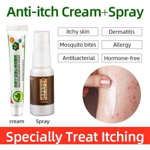 Chinese Herbs Medicine Itching Antibacterial Ointment Mosquito Bites Cause Skin Dermatitis Treatment Wet Itching Cream