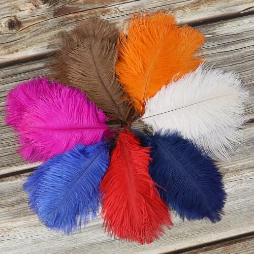 Ostrich Feathers 15-20CM/6-8 Inches Ostrich Plume For Wedding Party Home Decoration Craft Plumes 10 PCS/lot