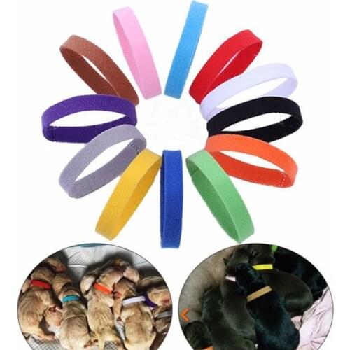 12PCS/SET Identification ID Collars Whelp Kitten Dog Cat Velvet Practical Nylon Reusable Puppy ID Collar Bands Pet Supplies