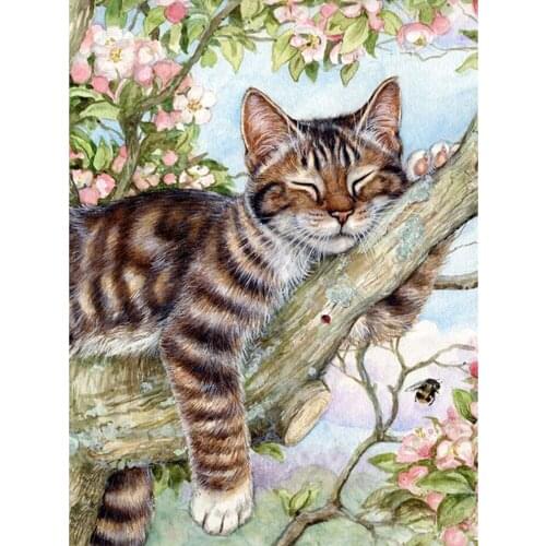 5D DIY Diamond Painting Cat Cross Stitch Animal Embroidery Complete Kit Picture Of Rhinestones Mosaic Decoration Home
