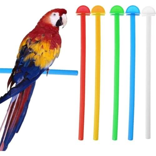 Parrot Perch Plastic Stand Training Bar Easy to Install Cage Accessories