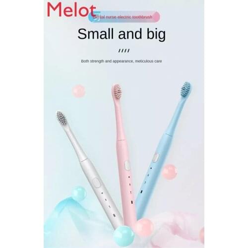 Waterproof the Third Gear Adjustable Adult and Children Universal Rechargeable Soft Bristle Sonic Electric Toothbrush Electric