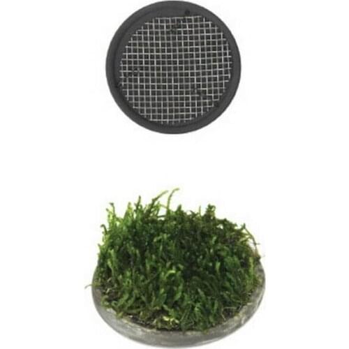 Ista Ceramic Aquarium Plant Development For Insoles Round 5cm 238037648