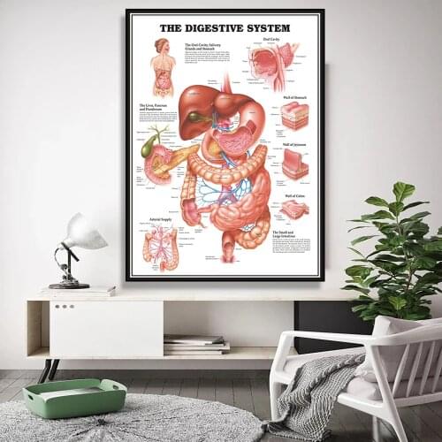 Human Anatomy Artwork Medical Wall Picture Skeleton Organ Muscle System Vintage Poster Canvas Print Human Education Painting