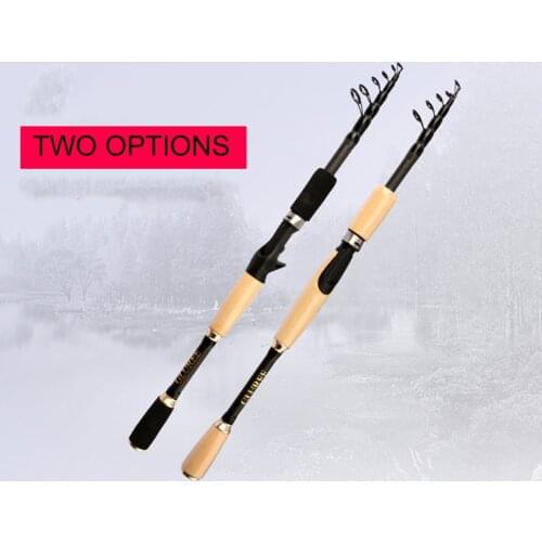 FDDL Spinning Rods