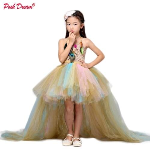 POSH DREAM Vintage Gold Peacock Feather Necklace Kids Girls Tutu Dresses Halloween Wedding Dresses with Train Tulle for Children