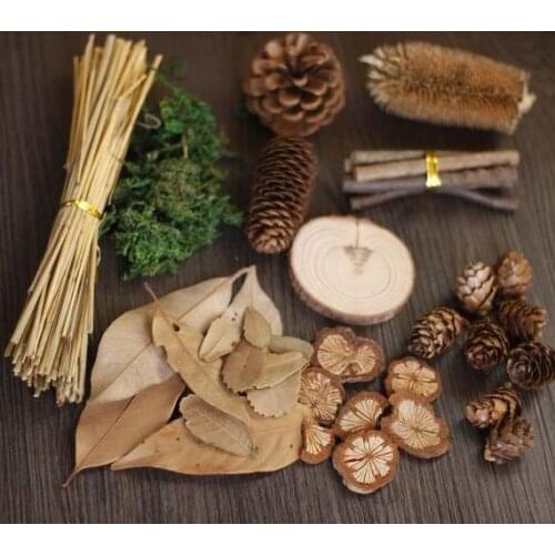 10pcs Retro Photographing Props Forest Baby Set Photography Retro Props Matching Background Pine Cone Leaf