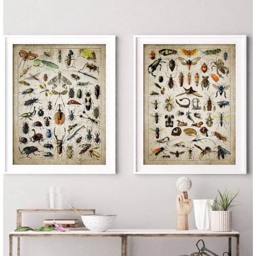 Vintage Insect Illustration Wall Art Canvas Painting Botanical Posters and Prints Entomology Science Picture Modern Home Decor