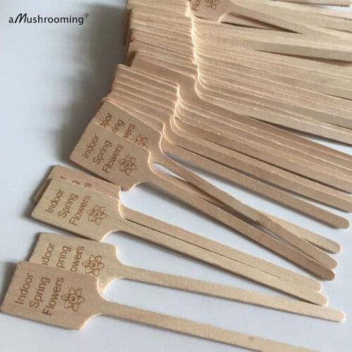 100pcs personalized biodegradable plant labels rectangle wooden vegetable flowers seeds tags home garden signs markers