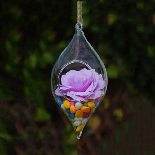 Small Size Glass vase flower pot flesh plant terrarium flower pot artificial flower accessories hanging glass bottle