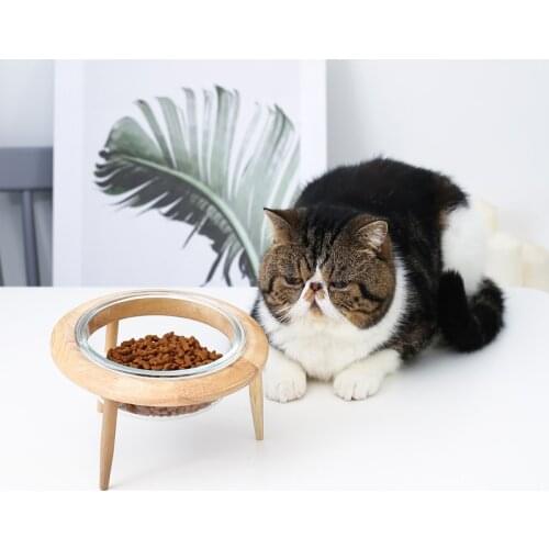 Cat Bowl Raised Glass Water Dogs Food Drinker Feedboxes Wood Stand For Puppy Feeder Pet Product Supplies Dropshipping #P001