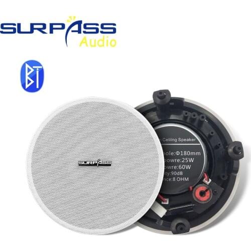 Surpass Ceiling Speakers