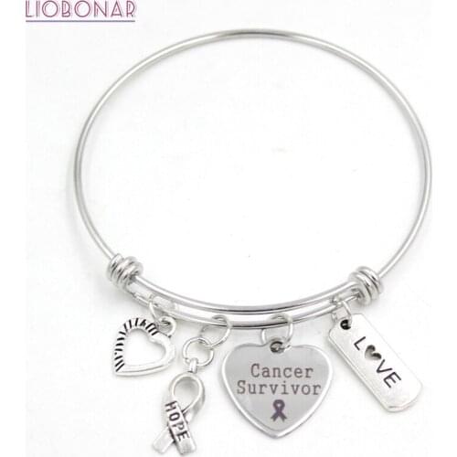 10PCS Stainless Steel Bracelet Adjustable Wire Bangle Hope Ribbon Love Heart Cancer Survivor Charm Bracelet Awareness Jewelry