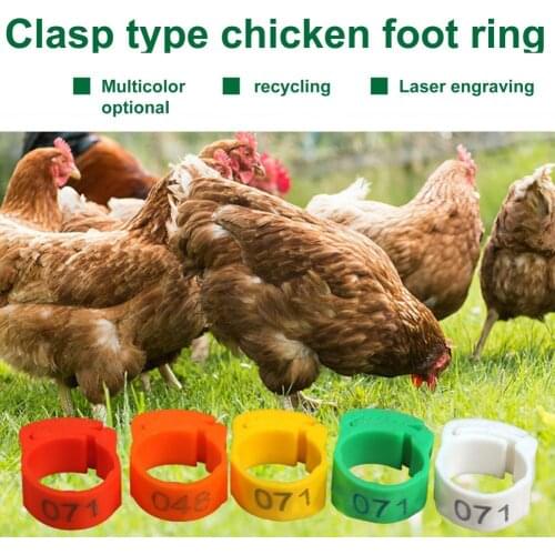 Wear-resistant 100Pcs Unbreakable Duck Chicken Foot Ring Smooth Surface Duck Leg Bands Flexible for Animal