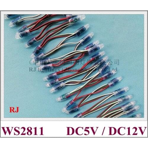 Waterproof IP67 WS 2811 digital magic LED pixel light module LED exposed light string RGB LED pixel light DC5V/DC12V 0.3W WS2811