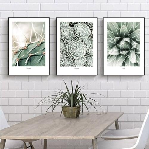 Full Drill 5D DIY Diamond Painting 3 piece green plant" Cactus" Embroidery Cross Stitch 5D kitchen Decor Gift WW011