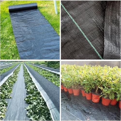 5m Weed Barrier Fabric Agriculture Greenhouse Garden Weed Control Orchard Landscape Plant Weeding Ground Cloth Cover PE Braiding