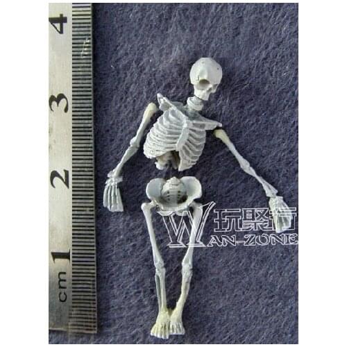 Scene Accessories Skull Scenario member corpse Common