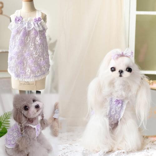 Lace Dog Vest Skirt Cat Chihuahua Clothes Summer Dog Clothing Pomeranian Yorkshire Corgi Maltese Bichon Poodle Pet Costumes 2021