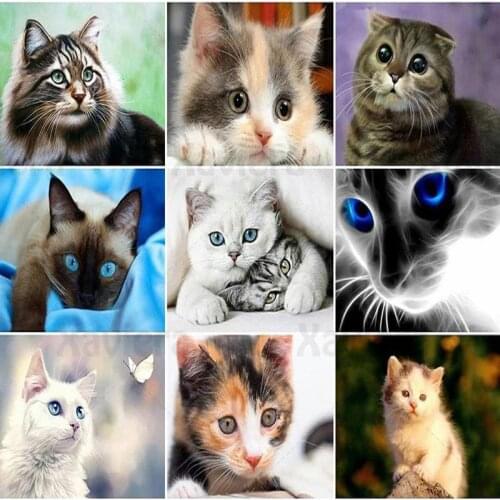 Diamond Stickers Embroidery Cute Cats Diamond Painting Animal Pete Full Rhinestones Pictures Beadwork Diamond Mosaic Wall Decor