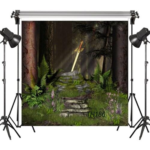 Vinyl Children Fairytale Excalibur Inserted Into The Stone 8X8FT Studio Backdrop Photography Photo Props Photographic Background