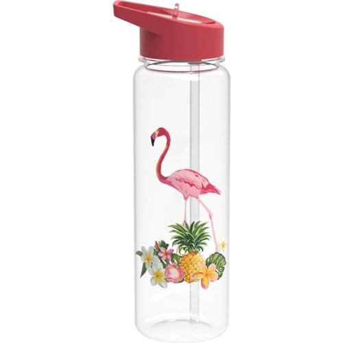 Flamingo Print Pattern Water Bottle 720ml Sport Waterbottle With Straw High Capacity Travel Cartoon Water Bottle For Girl