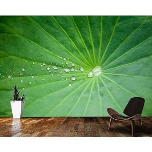 Papel de parede Dew on lotus leaf natural landscape 3d wallpaper mural,living room tv wall bedroom wall papers home decor