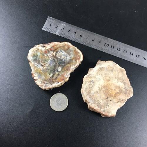 Natural raw Stone Polished Wood Stone Slice Specimen collectibles Coffee Pads Coaster Crafts Home Decor Drop Shipping