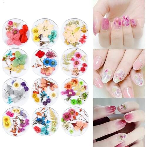 1 Box Mixed Natural Dried Flowers Nail Art 3D Designs Nail Art Decoration Polish Manicure Accessories DIY Japanese Nail Art Tip