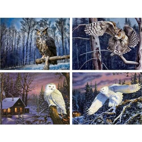 5D Diamond Mosaic Full Owl Pictures Of Rhinestones Diamond Painting Set Snow Embroidery Home Decoration