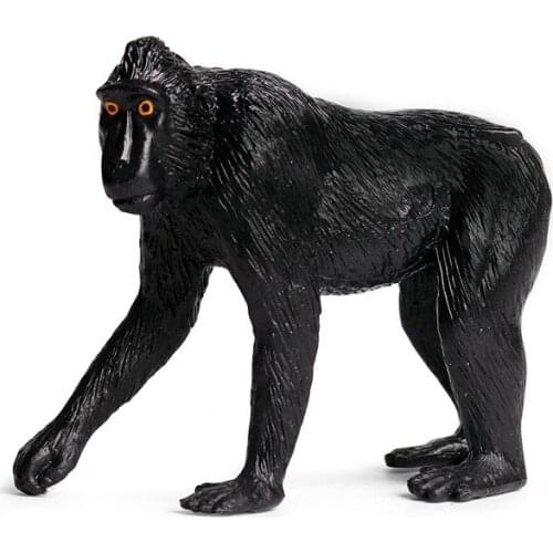 Simulation Macaca Nigra Animal Figure Collectible Toys Wild Animal Cognition Action Figures Kids Solid Plastic Cement Toys