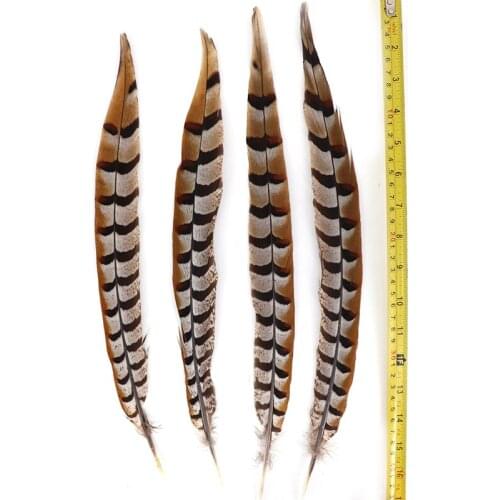 New 50pcs/lot high quality pheasant feathers 35-40cm/14-16inch Wedding Party For Accessories DIY Decoration plumas