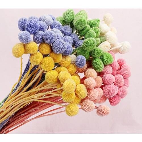 2CM Head,50CM Decorative Preserved Flowers Ball family Dining Table Wedding Decoration Photography Props