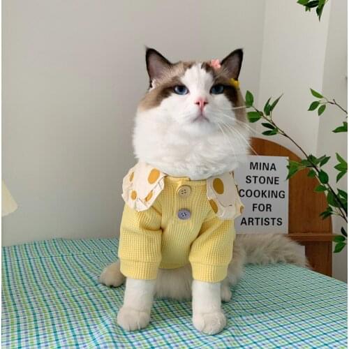 Winter Sweater Dog Autumn Warm Thick Cotton Cover Teddy Dogs Clothing Jacket Fashion Cat Padded Coat