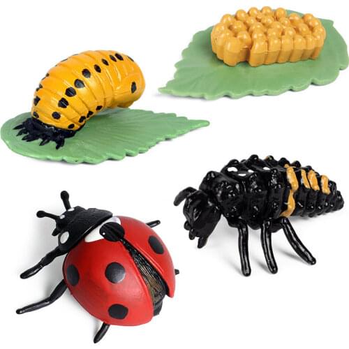 Simulation Animal Insect Model Action Figures Mini Insects Growth Cycle Animal PVC Toys Figures Teaching Material Kid Baby Gifts