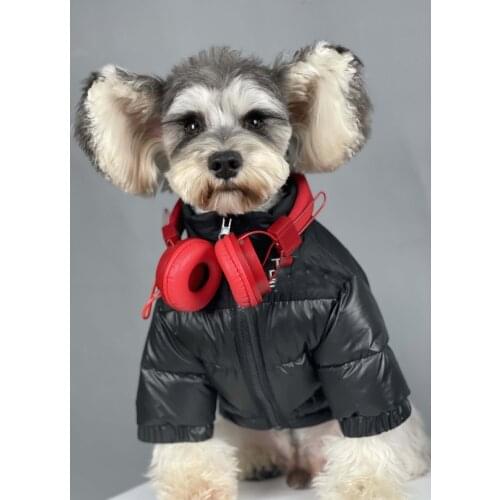 Dog Winter Coat Clothing For Dogs Thick Jacket For Puppy Pug French Bulldog Down Small Dog Cat Hoodies S-2 XL Pet Clothes