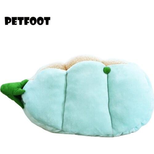 PETFOOT Products For Cats