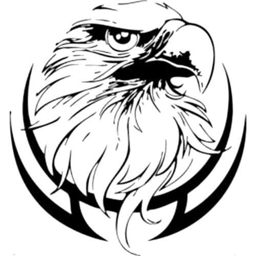 18.7X20CM Wild Evil Eagles Birds Bardian Vinyl Car Stickers Motorcycle Decal Black/Silver S6-2434