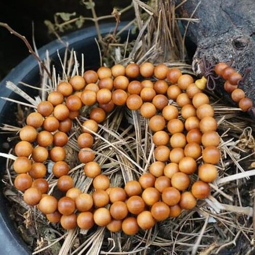 6mm/8mm/10mm/12mm Natural Babi Aromatic Sandalwood with Amazing Fragrance Beads Wooden Loose Bead Buddhism India Yoga Mala