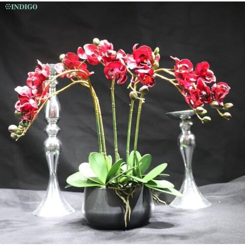 Red Moth Orchid (5Pcs Orchid+5Pcs Leaves+Pot) DIY Flower Arrangment Real Touch Office Decoration Event Centerpiece INDIGO