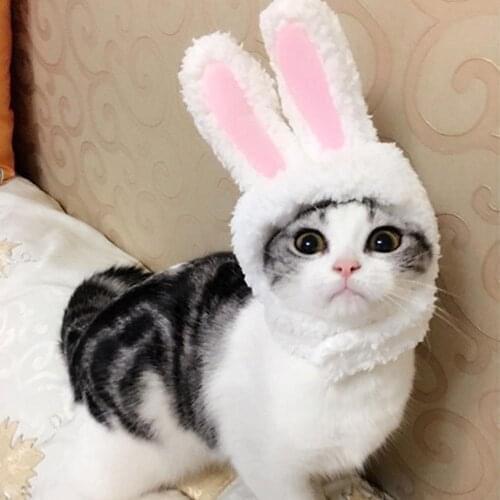 New Distinctive Pet Supplies Mini Rabbit Ears Pet Cats Hat Lovely Style Cross-dressing Cap for Pet Cute Accessories