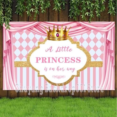 Custom Baby Shower Backdrop Princess Pink Crown Girls Birthday Party Decoration Photography Background Banner Photo Studio Prop