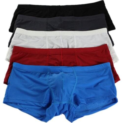 5Pcs/Lot Mens Ice Silk Underwear Boxers Sexy Mens Transparent Ultra Thin Underpants Fetish Gays Bulge Pouch Boxer Shorts Trunks