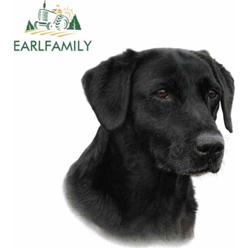 EARLFAMILY 13cm x 11.4cm for Black Labrador Funny Car Stickers Vinyl Sunscreen RV VAN Fine Decal JDM Car Accessories Graphics