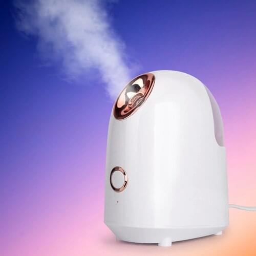 Sauna Facial Steamer SPA Face Moisturizing Nano Spray Mist Beauty Face Steaming Device Salon Home Use Skin Care Tool dropship