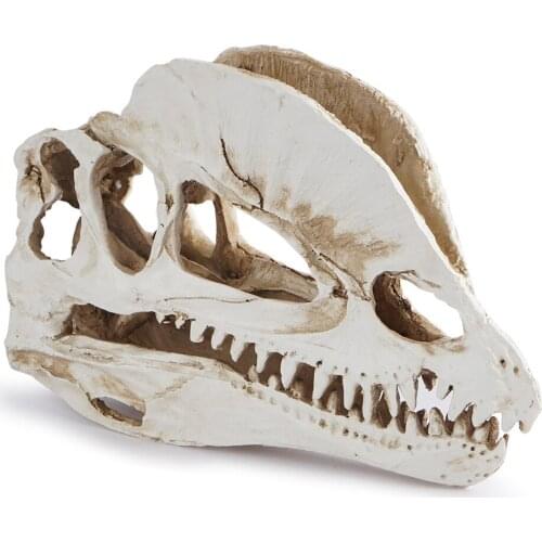 Double Crown Dragon Skull Resin Crafts Personalized Ornaments Dinosaur Skeleton Aquarium Decorations Fish and Shrimp Shelter