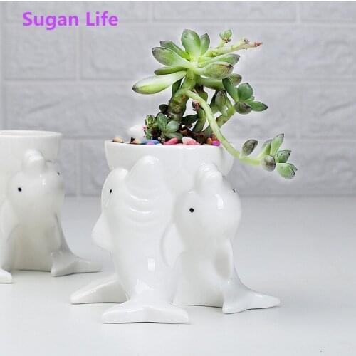 Nordic Style Simple Indoor Outdoor Gardening Creative Succulent Plant Pots Dolphins White Ceramic Pots Desktop Potted Ornaments