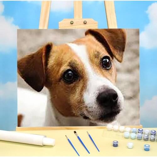 Dog Flower Animal DIY Paint By Numbers Set Oil Paints 40*50 Boards By Numbers Home Decoration Crafts Adults Drawing