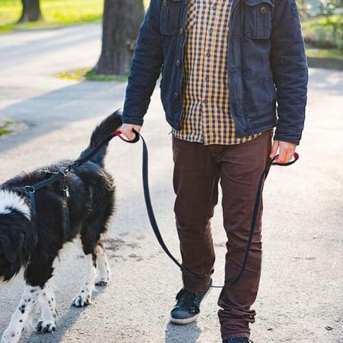 Benepaw Reflective Padded Dog Leash Two Handle Durable Small Medium Large Dog Pet Training Leash Nylon Lead 7 Colors WJ910