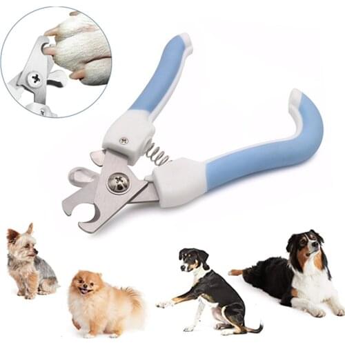 BIEVCOO Dog Care Products